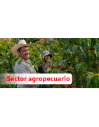 Sector agropecuario